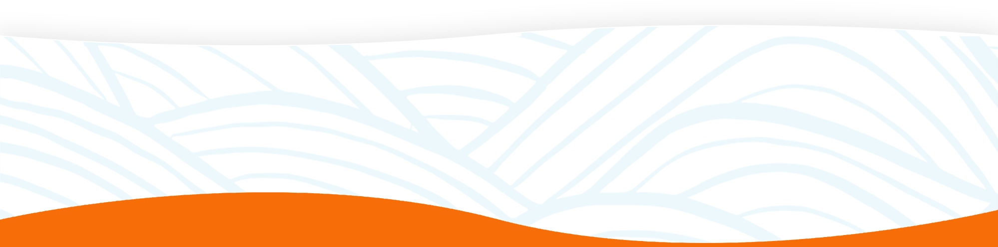 wf-overviewbottom-bg