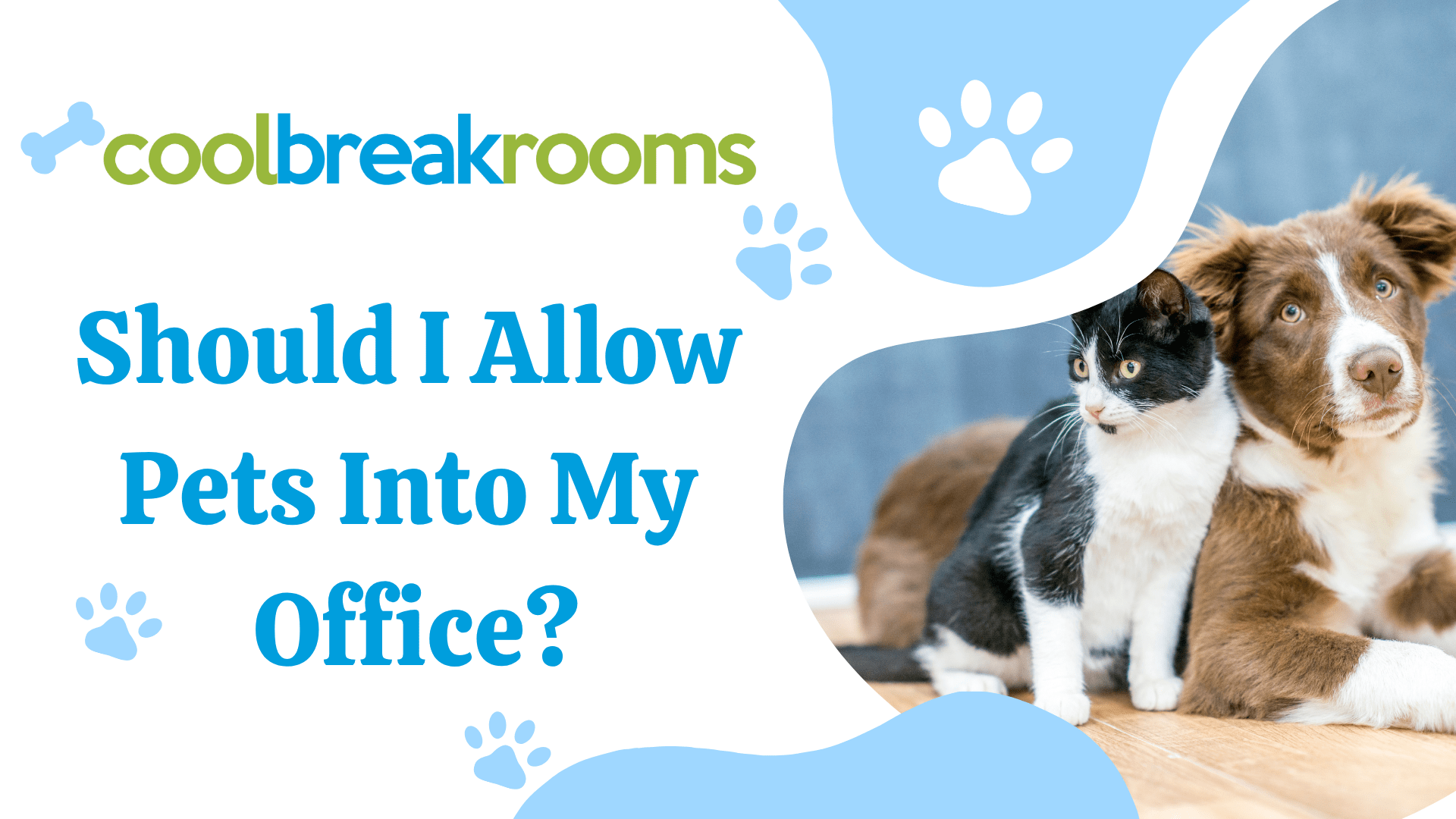 Should I Allow Pets Into My Office