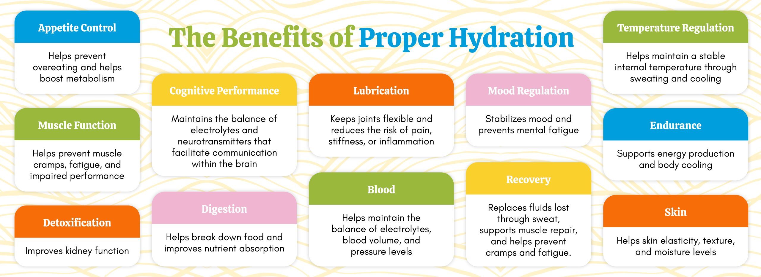 The Benefits of Proper Hydration